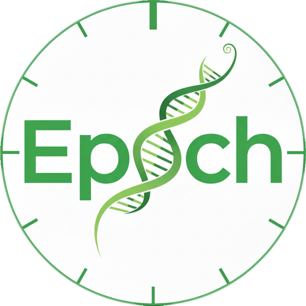 Epoch